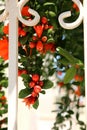 Flowers in the fence