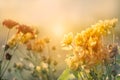 Flowers field at sunset in pastel vintage color tone style