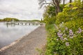 Flowers along Fishermans walk trail in York Maine