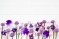 Flowers flat design, purple  and pink  flowers on white wooden board,  floral frame  in flat lay style with place for your text. Royalty Free Stock Photo