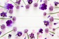 Flowers flat design, purple  and pink  flowers on white wooden board,  floral frame  in flat lay style with place for your text. Royalty Free Stock Photo