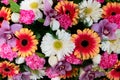 Flowers flat lay composition Royalty Free Stock Photo