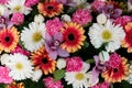 Flowers flat lay composition Royalty Free Stock Photo