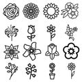 Flowers flat line icons. Beautiful garden plants - chamomile, sunflower, rose flower, lotus, carnation, dandelion, violet blosso