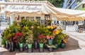 Flowers at florist market Fuengirola Spain Royalty Free Stock Photo