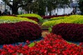 Flowers on the flower bed volumetric flower beds design of city parks autumn flowers on a flower bed are very beautiful