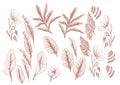 flowers flower leaves nature vector design illustration vector leaf botanical set hand drawn pink style leaf pink style