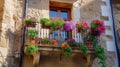 Flowers in Flower pot hanging on on traditional Balcony Fence, Spring Beautiful Balcony Flowers on Sunset