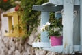 Flowers in flower pots in colorful stands in the garden.