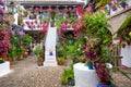 Flowers in flowerpot on the walls on streets of Cordobf, Spain Royalty Free Stock Photo