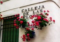 Flowers in flowerpot on the white walls on famous Flower street.