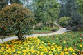 Flowers and footway on hillside in spring Royalty Free Stock Photo