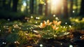 flowers in the forest with sunbeams shining through Royalty Free Stock Photo