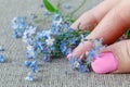 Flowers forget-me-nots, closeup of female hand supports