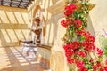 Flowers and fountain on Spanish wall details.