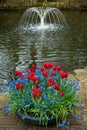 Flowers and a fountain