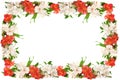 Flowers frame. Royalty Free Stock Photo