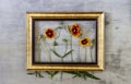 Flowers in the frame on a concrete background. Minimal concept. Creative Royalty Free Stock Photo