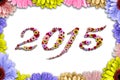 2015 Flowers on Frame made of colorful daisies on Wood Background