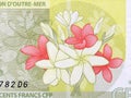 Flowers from French Pacific Territories money