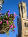 Flowers in front of the Belfry of Bruges on a sunny day in summer