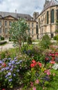 Flowers in front of the cathedral in Reims