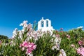 Flowers in front of a church in Santorini Royalty Free Stock Photo