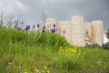 Flowers In Front Of Famous Fortress Castel Del Monte In Puglia, Italy