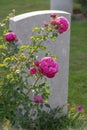 Flowers in Front of a Grave