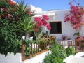 Flowers In Front of Greek House