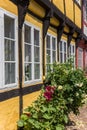 Flowers in front of a half timbered house in Ribe Royalty Free Stock Photo