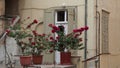 flowers in front of a house, Nafplion, Peloponissos, Greece Royalty Free Stock Photo