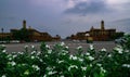 Flowers in front of Rashtrapati bhawan