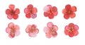 Flowers of fruit orchard trees: cherries, plums, apricots, peaches, pears, apple trees. Set of 6 flowers. Red and pink. Isolated v