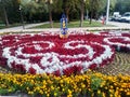 Flowers, garden, Almaty Kazakhstan, city