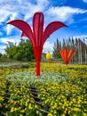 Flowers garden, Flora park in Khao Yai, Thailand