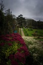 flowers in the garden of Kylemore Abbey in Connemara Royalty Free Stock Photo