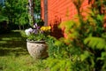 Flowers in the garden, pot