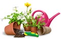 Gardening Equipment and flowers isolated on white