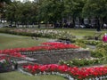 Flowers in gardens atl in Port Sunlight Royalty Free Stock Photo