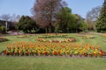 Flowers in the gardens near Bury St Edmunds Cathedral