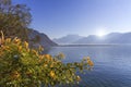 Flowers at Geneva lake, Montreux, Switzerland Royalty Free Stock Photo