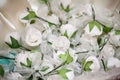 Flowers gift-testimony Royalty Free Stock Photo