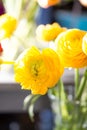 Flowers and glass jars