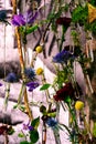 Flowers in glass test tubes. Flower composition. Flowers in test tubes hanging on a rope