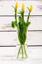 Flowers in glass vase. Royalty Free Stock Photo