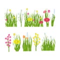 Flowers and grass. Blooming field, meadow. A design element. Royalty Free Stock Photo