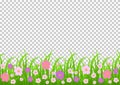 Flowers and grass border, pink meadow flowers and green grass on a transparent background, vector illustration, greeting