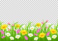 Flowers and grass border, yellow and white chamomile and delicate pink meadow flowers and green grass on transparent