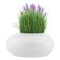 Flowers with grass in concrete pot isolated on white